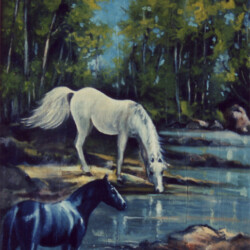 L'Abbeverata - L'Acqua è un Bene Prezioso e Aiuta a Vivere con Tranquillità. Il cavallo bianco sono io e il cavallo nero è mio figlio (produzione propria)