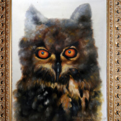 "Gufo", 1973 La capacità di un Gufo di agire secondo Virtù e Ragione - Olio su tela cm 33x44