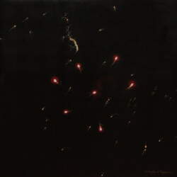 29.11.1954 sottotitolo Verso la Vita - Ricerca Scientifica 2002 - Olio su tela - cm 75x75 (produzione propria)