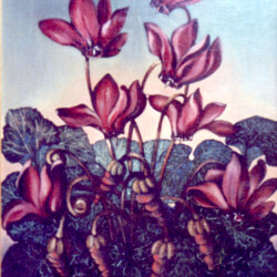 "Pannello di Ciclamini" - olio su paniforte (produzione propria)