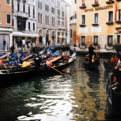 VENEZIA