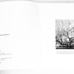 Arte e Legalità (la creatività contro le mafie e le sopraffazioni)