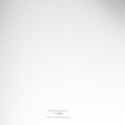 Arte e Legalità (la creatività contro le mafie e le sopraffazioni)