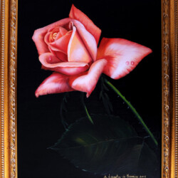 "Rose per Rosa", 2007
Mostra di Santa Rosa da Viterbo
Olio su Tela - cm 45x35
(Produzione propria)