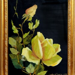 "Rosa per Rosa", 2007
cm 43x55 - olio su tela