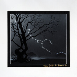 Un Albero Solitario con i suoi rami secchi e la Saetta in agguato
Disegni da ragazza