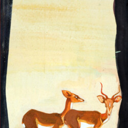 I Cerbiatti
Disegni da ragazza